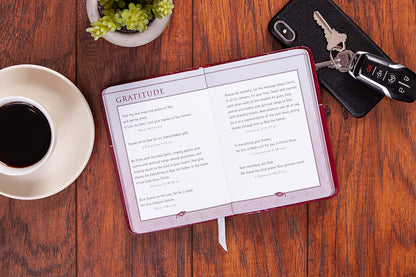 BroadStreet Publishing Group, LLC - Bible Promises for Graduates (Devotional, Graduation Gifts)